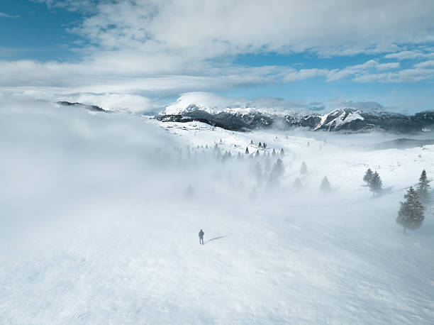 Winter snowy landscape