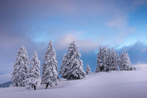 istock Winter Landscape At Sunset 2232974518