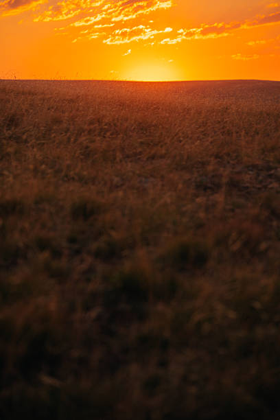 Beautiful red sunset over the hill