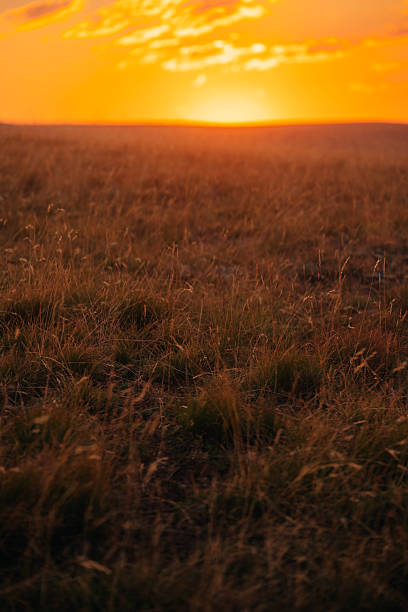istock Beautiful red sunset over the mountain 2232977441