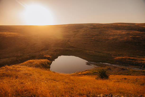 Scenic view of a small mountain pond surrounded by golden grass under the warm glow of sunset.