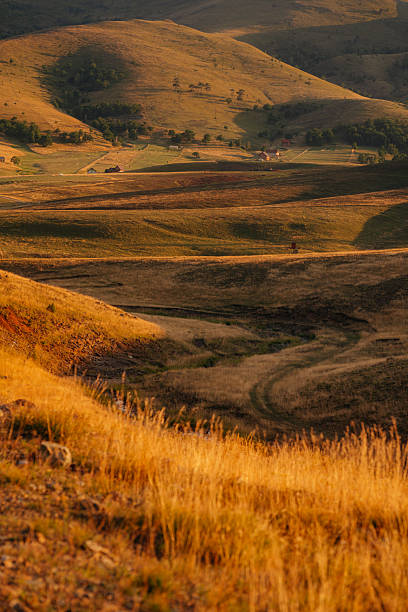 Beautiful Zlatibor mountain landscape at sunset