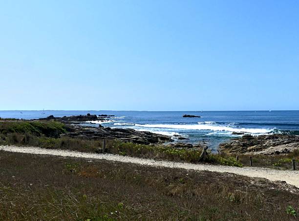 istock View of the wild coast 2232977704