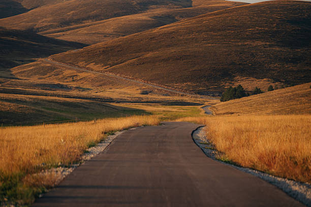 Picturesque mountain road meandering through vast golden fields and rolling hills under soft daylight.