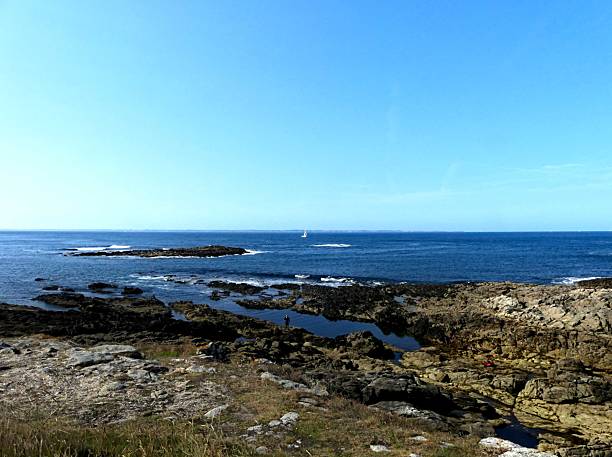 istock View of the wild coast 2232978002