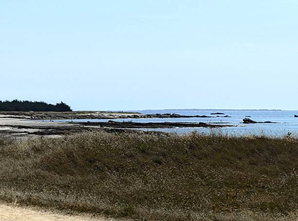 istock View of the wild coast 2232979539