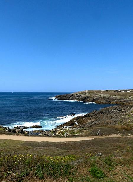 istock View of the wild coast 2232979978