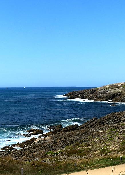 istock View of the wild coast 2232979981