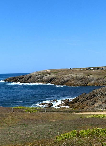 istock View of the wild coast 2232979982