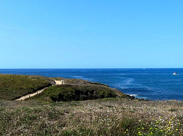 istock View of the wild coast 2232980339
