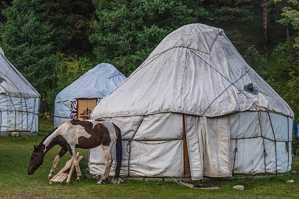 istock At the ecotrek Yurt Camp 2232982616