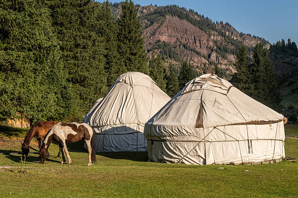 istock At the ecotrek Yurt Camp 2232982623
