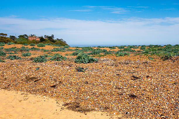 View of a wooden walkway on the beach at Dungeness, Sussex. UK.   People can be seen sitting on a timber bench