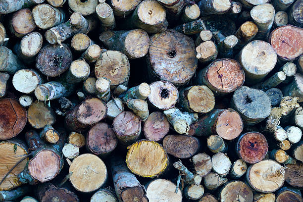 A visually striking collection of stacked logs showcasing natural textures and colors. Perfect for themes of nature, sustainability, or rural living.