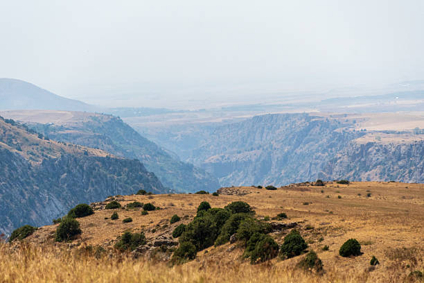 A beautiful landscape shot from Aksu Canyon National Park in the south of Kazakzstan.