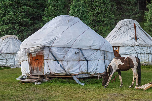 istock At the ecotrek Yurt Camp 2232997037