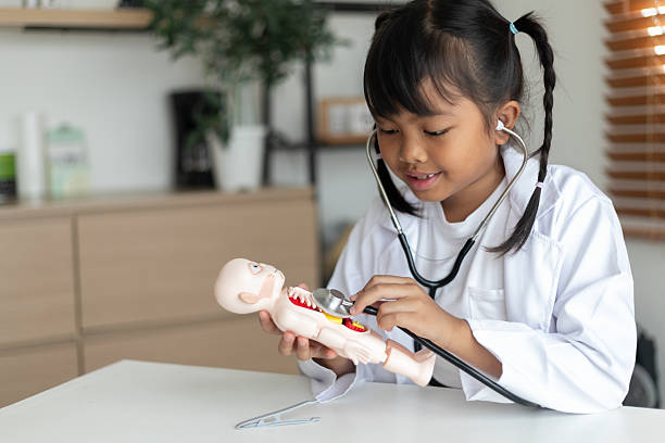istock Child in doctor coat smiling while using stethoscope to check human anatomy toy model, concept of role play learning, fun medical education, healthcare training, 2233002422