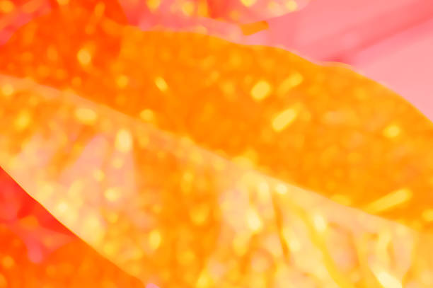Natural fresh leaves overlap with red yellow colors