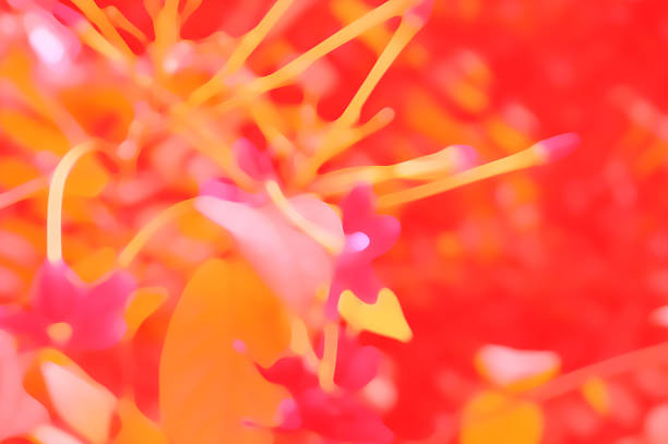 Natural fresh leaves overlap with red yellow colors