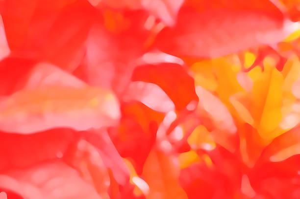 Natural fresh leaves overlap with red yellow colors