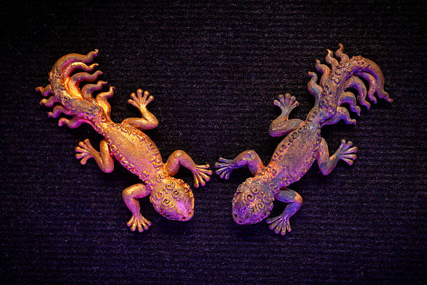 image of rubber reptile hand white background studio