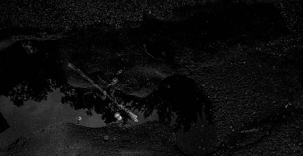 reflect on water and wet floor