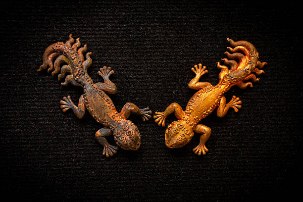 istock Amulet in the shape of a Nine-tailed lizard. 2233005514