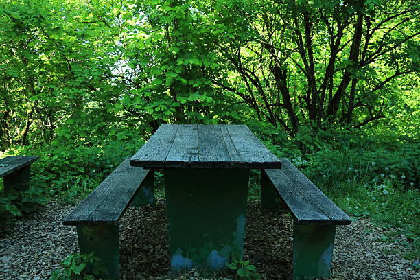 Weathered wooden bench and table set. This image shows a rustic outdoor table with two wooden benches placed in a forested area The benches and table are mounted on green metal bases with visible peeling paint indicating exposure to the elements Surrounded by dense foliage and dappled light the setting offers a peaceful resting spot for hikers or visitors in the woods