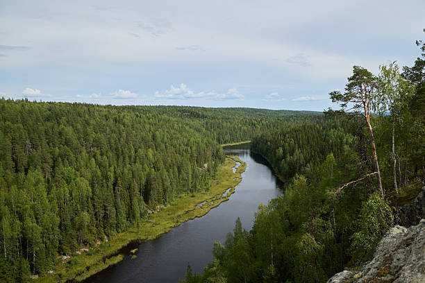 istock A scenic river meanders through a lush green forest landscape, enchanting and inviting 2233010688