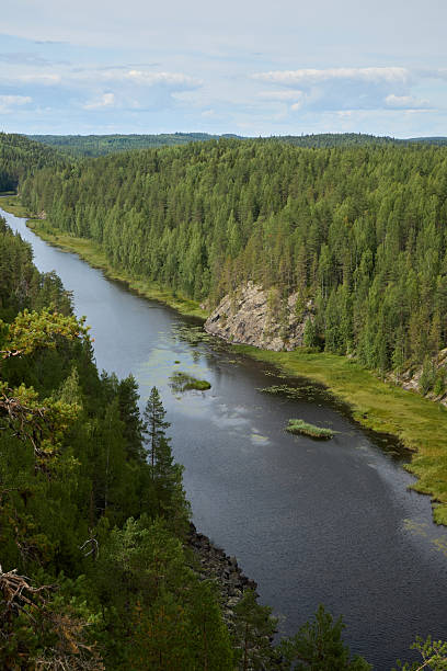 istock A Serene River Gently Flowing Through a Lush Green Forest Landscape That Enchants the Senses 2233011622