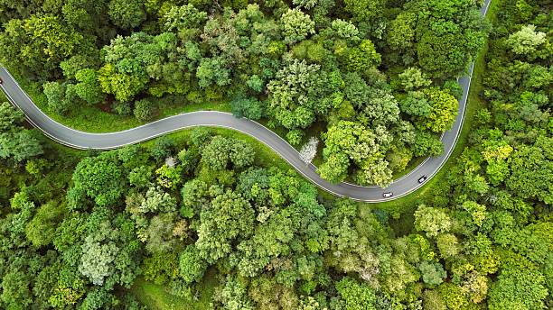 istock Aerial View of Curvy Road Through Dense Green Forest 2233011823