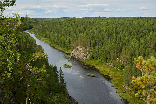istock A Serene Forested River Gracefully Flowing Through a Lush and Green Landscape Filled with Beauty 2233012748