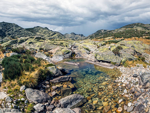 Mountain stream in summer in the Sierra de Gredos