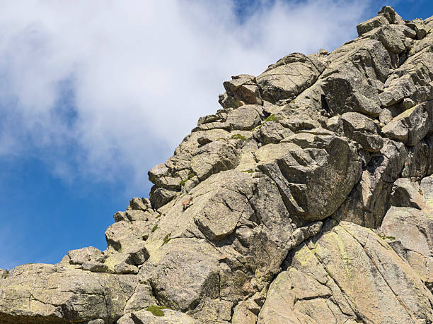 Ibex among rocks in the mountains (Capra pyrenaica). Gredos Mountains.