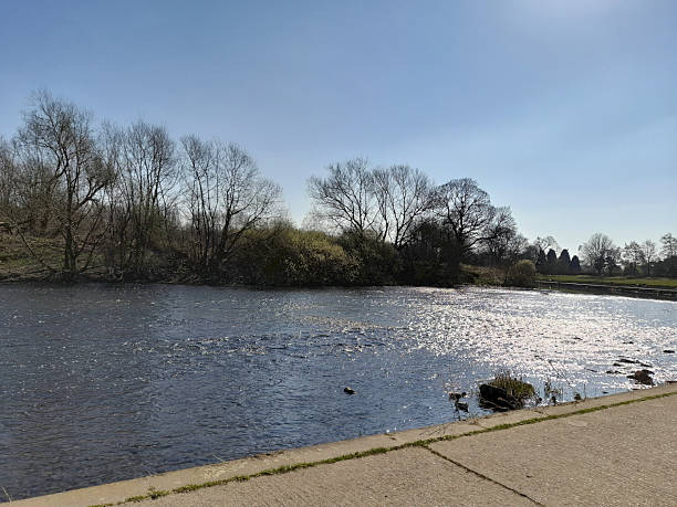 istock Shimmering River Scene with Silhouetted Trees and Deep Blue Sky 2233019139