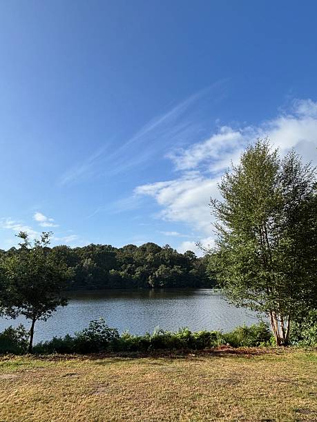 istock Stunning Surrey (UK) Countryside with Lake 2233030986