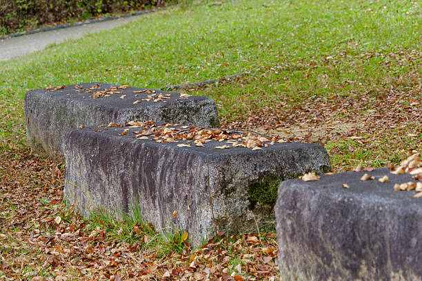 stone, bench, park, autumn, leaves, nature, outdoor, moss, rock, rest, garden, seat, environment, brown, gray, green, foliage, season, landscape, texture, calm, old, blank space