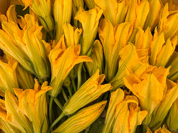 istock Zucchini flower. Close-up. Top view. 2233034530
