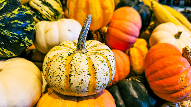 istock Colorful Autumn Pumpkins Display 2233035376