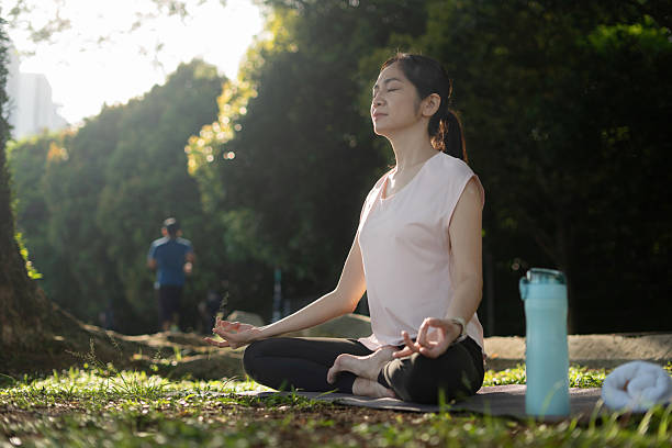 istock Lotus Calm in Nature 2233040790
