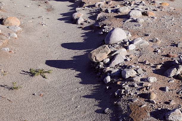 Photos taken in the largest state park in California