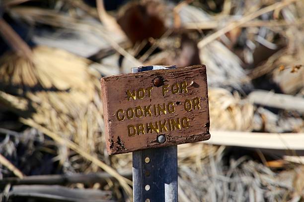 istock Anza-Borrego Desert State and Sky Park 1 2233045428