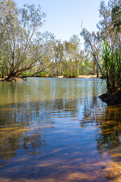 istock Drysdale River landscape in morning light 2233048995