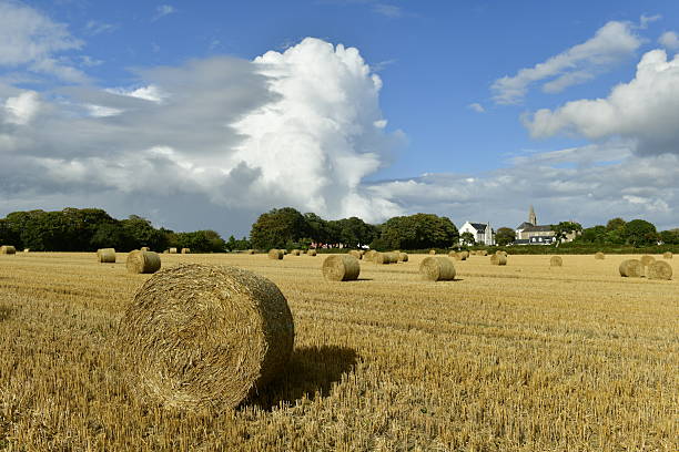 Fields of hay bales in the sun with dramatic skies.