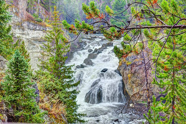 in Yellowstone National Park