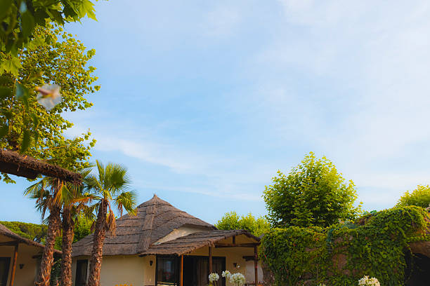 istock Exotic tropical hut on a green landscape on a blue sunny summer sky 2233055907