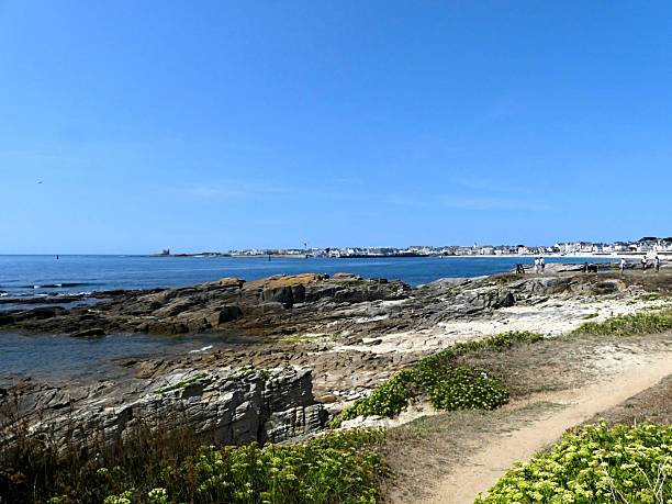 istock View of the wild coast 2233060520