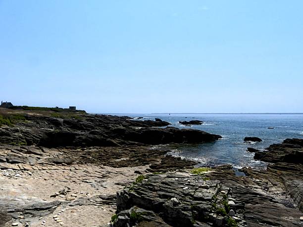 istock View of the wild coast 2233060524