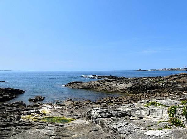 istock View of the wild coast 2233060546