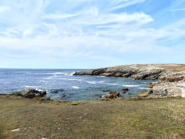 istock View of the wild coast 2233060736